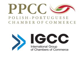 Postulates and positions of IGCC and PPCC