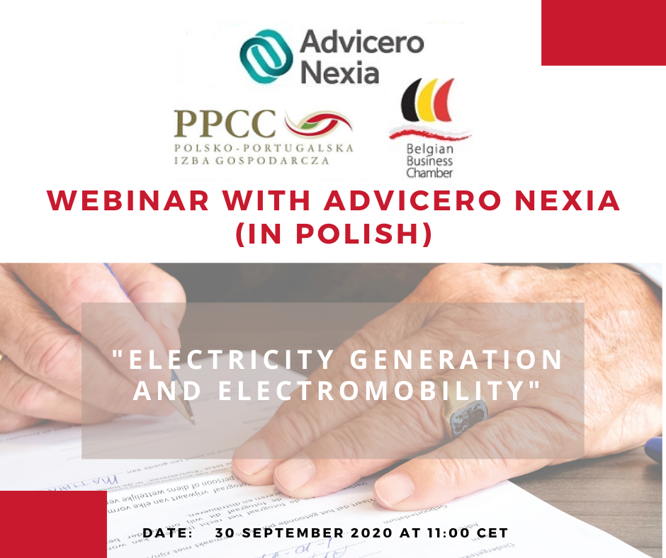 PPCC webinar: “Electricity generation and electromobility”